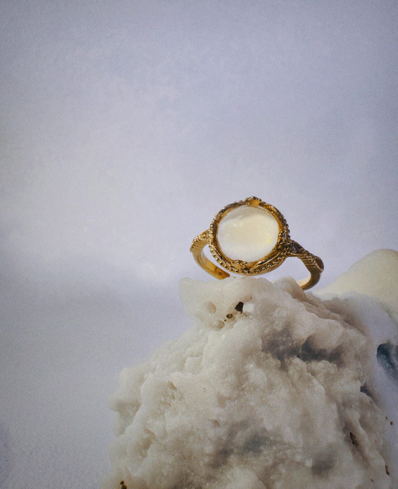 The Golden Chrysalis